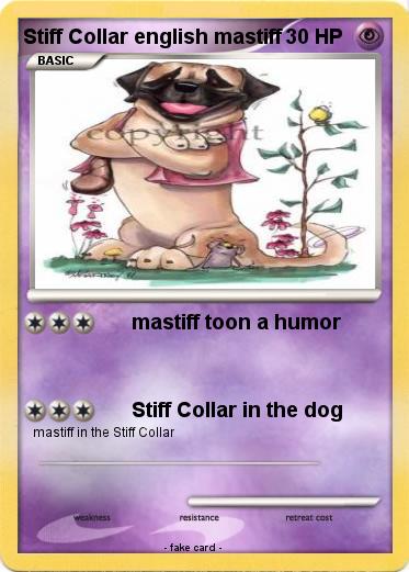 Pokemon Stiff Collar english mastiff