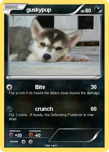 Pokemon guskypup