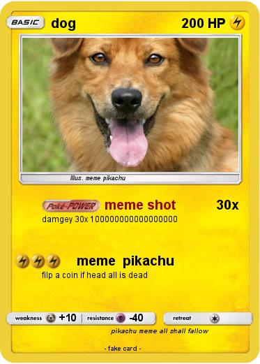 Pokemon dog