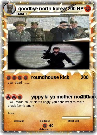 Pokemon goodbye north korea!