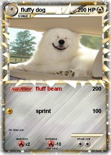 Pokemon fluffy dog