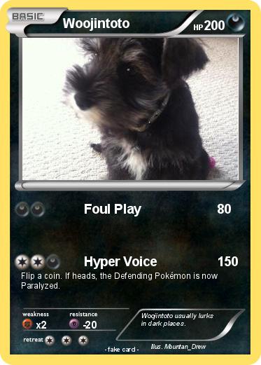 Pokemon Woojintoto