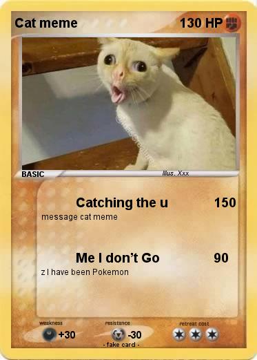 Pokemon Cat meme