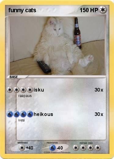 Pokemon funny cats
