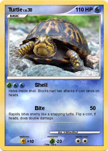 Pokemon Turtle