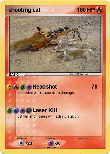 Pokemon shooting cat