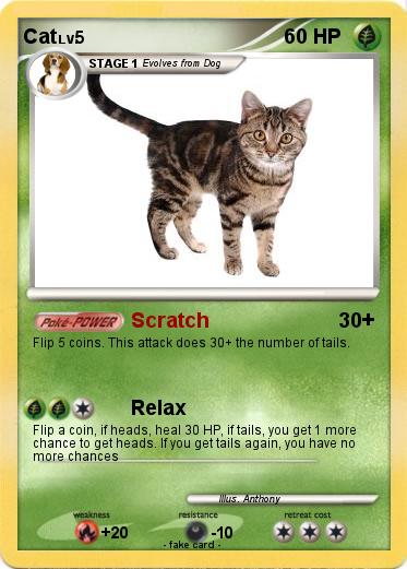 Pokemon Cat