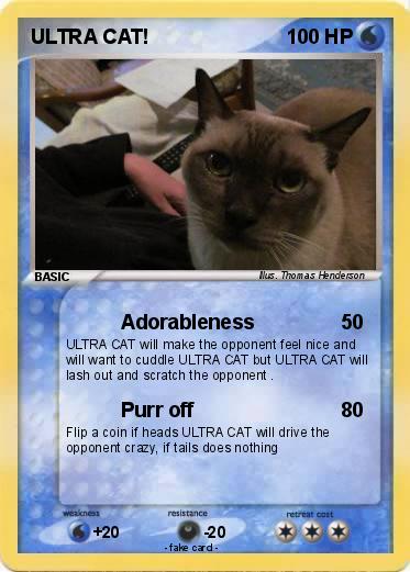 Pokemon ULTRA CAT!