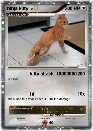 Pokemon ninja kitty