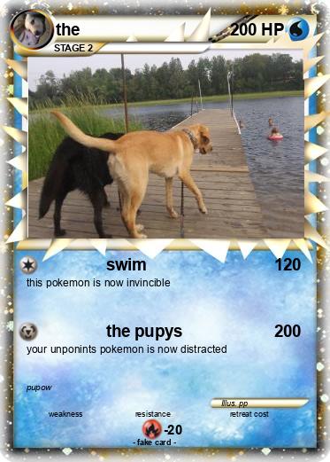Pokemon the