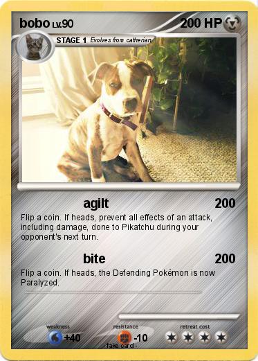 Pokemon bobo
