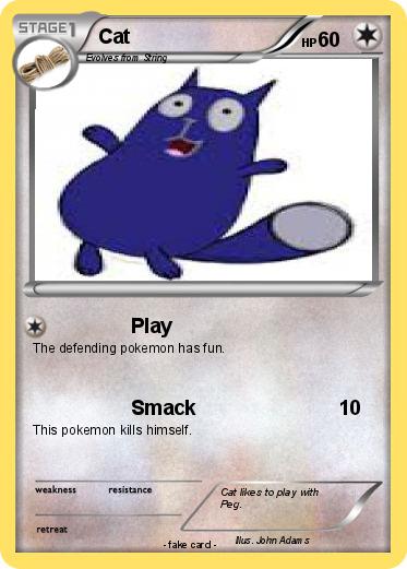 Pokemon Cat