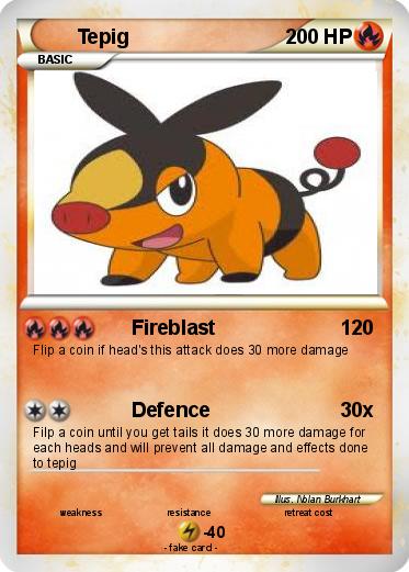 Pokemon Tepig