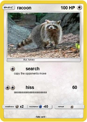Pokemon racoon