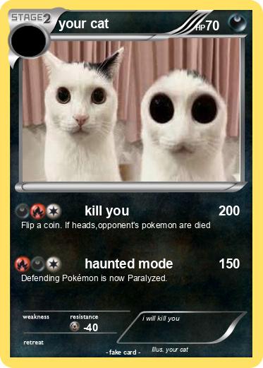 Pokemon your cat