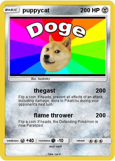Pokemon puppycat