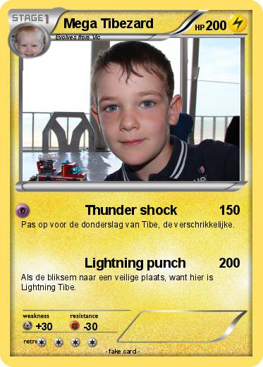 Pokemon Mega Tibezard