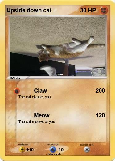 Pokemon Upside down cat Pokemon Upside down cat