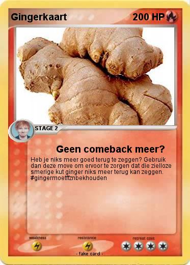 Pokemon Gingerkaart