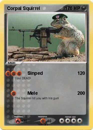 Pokemon Corpal Squirrel