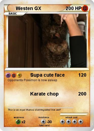 Pokemon Westen GX