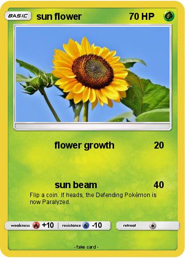 Pokemon sun flower