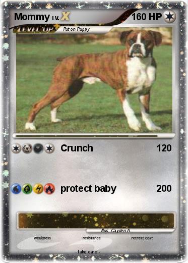 Pokemon Mommy