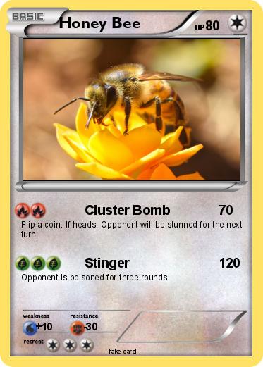 Pokemon Honey Bee