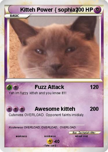 Pokemon Kitteh Power { sophia }