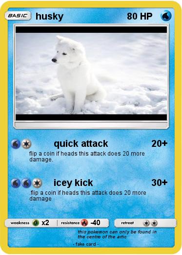 Pokemon husky