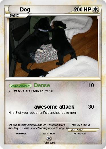 Pokemon Dog