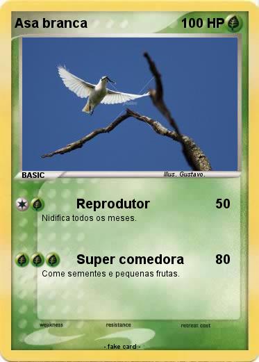 Pokemon Asa branca