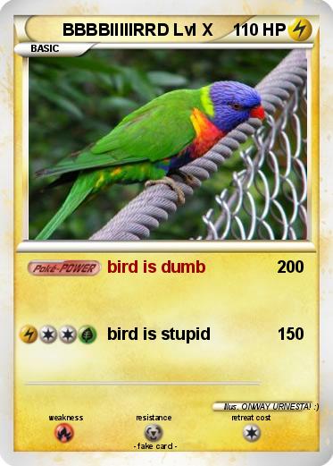 Pokemon BBBBIIIIIRRD Lvl X