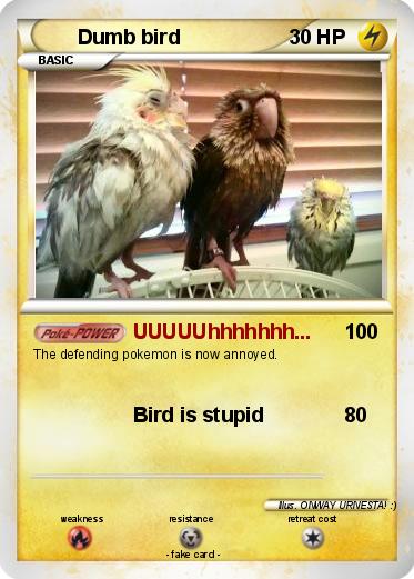 Pokemon Dumb bird