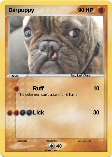 Pokemon Derpuppy
