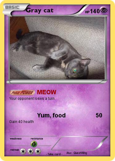 Pokemon Gray cat