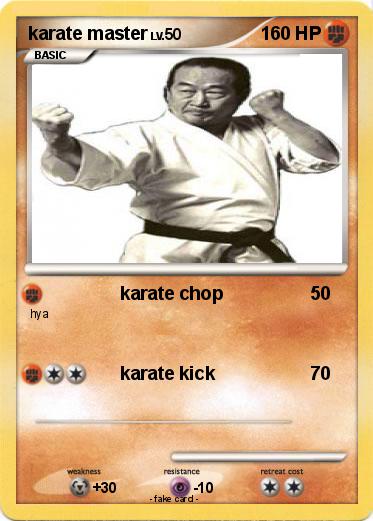 Pokemon karate master