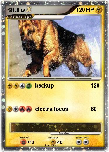 Pokemon snuf