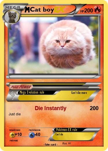 Pokemon Cat boy