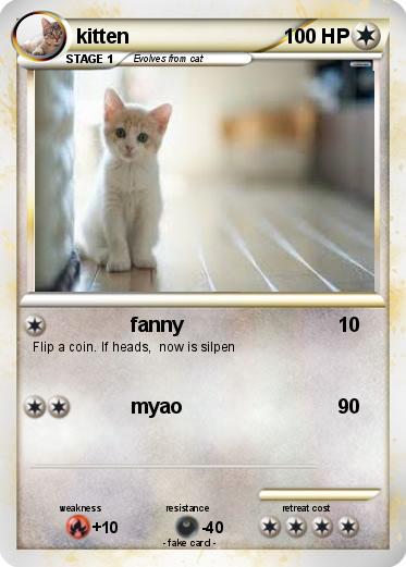 Pokemon kitten