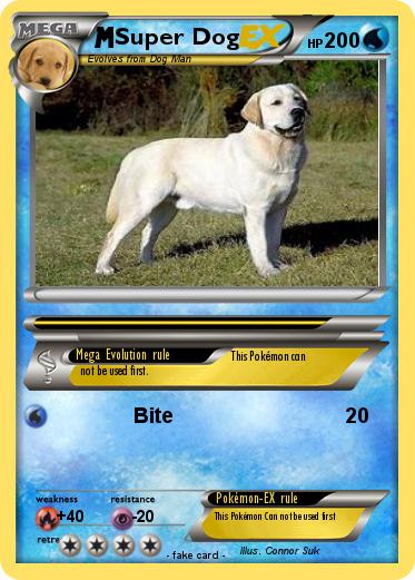 Pokemon Super Dog