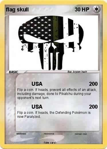 Pokemon flag skull