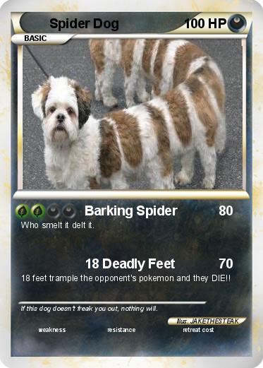 Pokemon Spider Dog