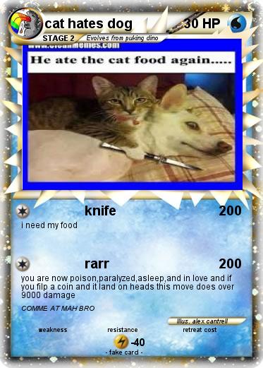 Pokemon cat hates dog