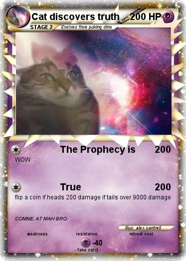Pokemon Cat discovers truth