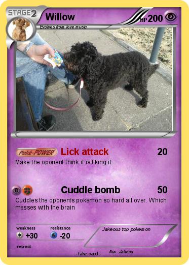 Pokemon Willow