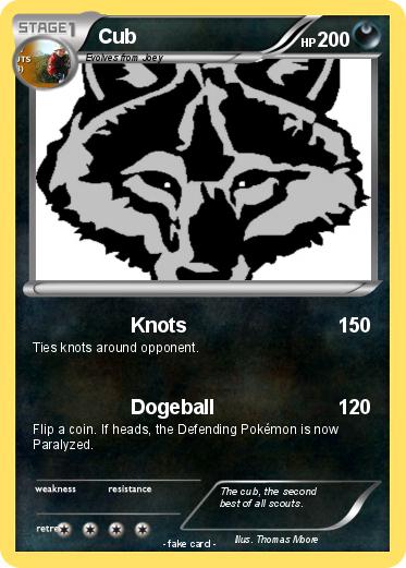 Pokemon Cub