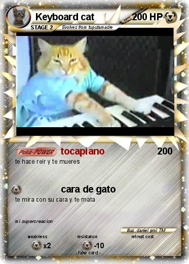 Pokemon Keyboard cat