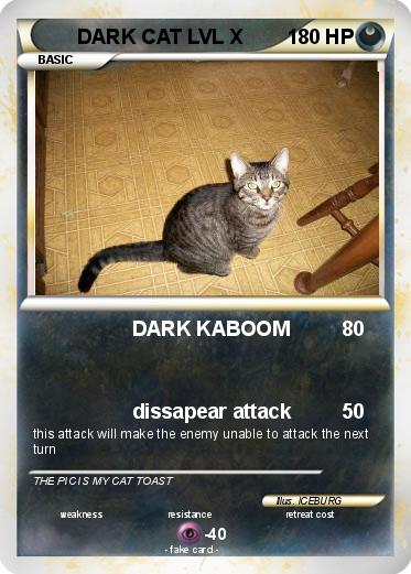 Pokemon DARK CAT LVL X