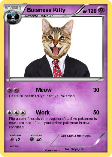 Pokemon Buisness Kitty
